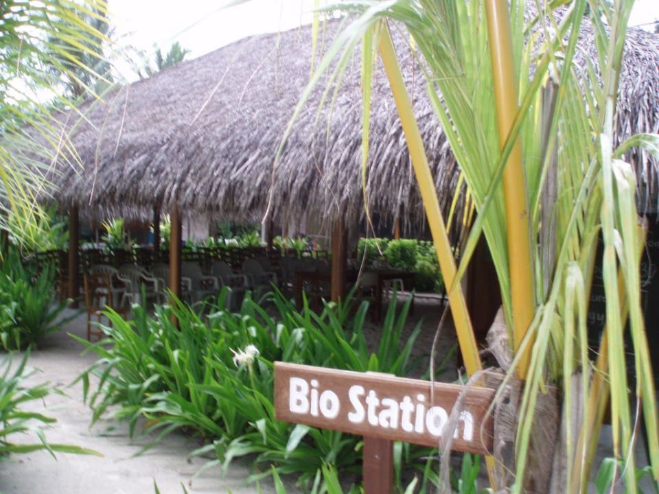 Biostation Kuramathi Maldives