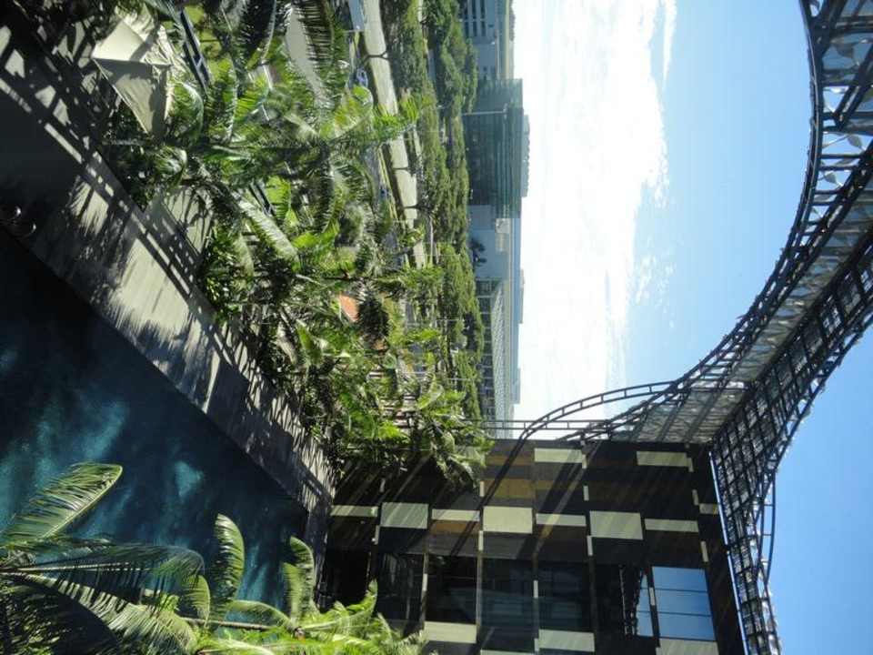 Pool Hotel Crowne Plaza Changi Airport