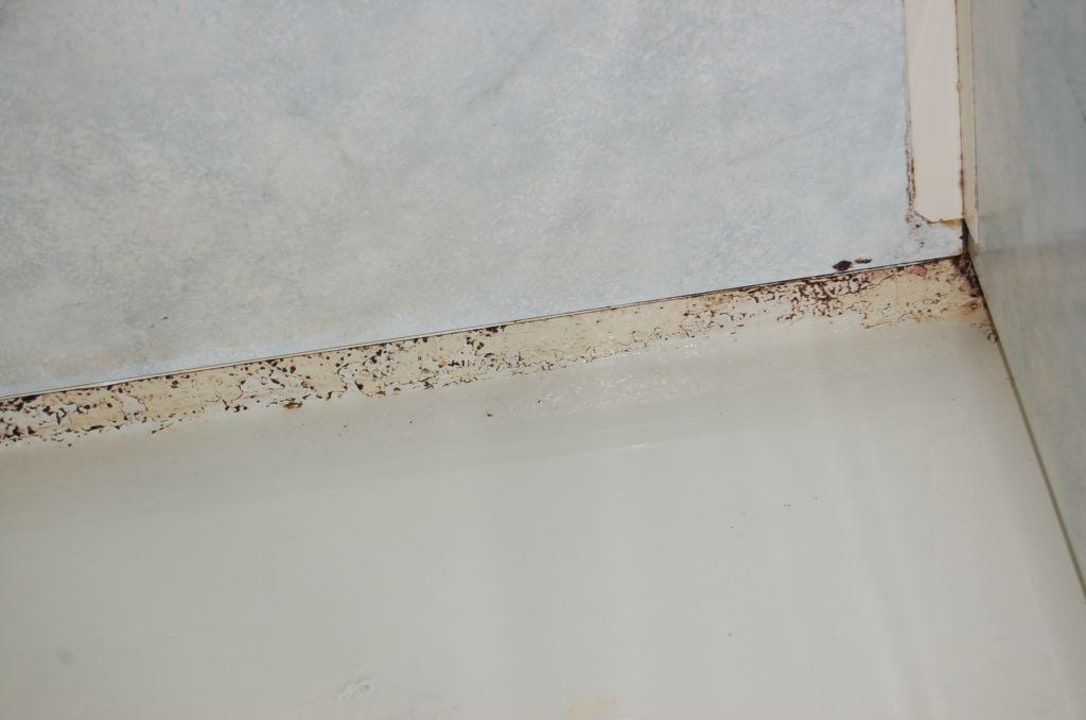 Schimmel Best Western Amsterdam