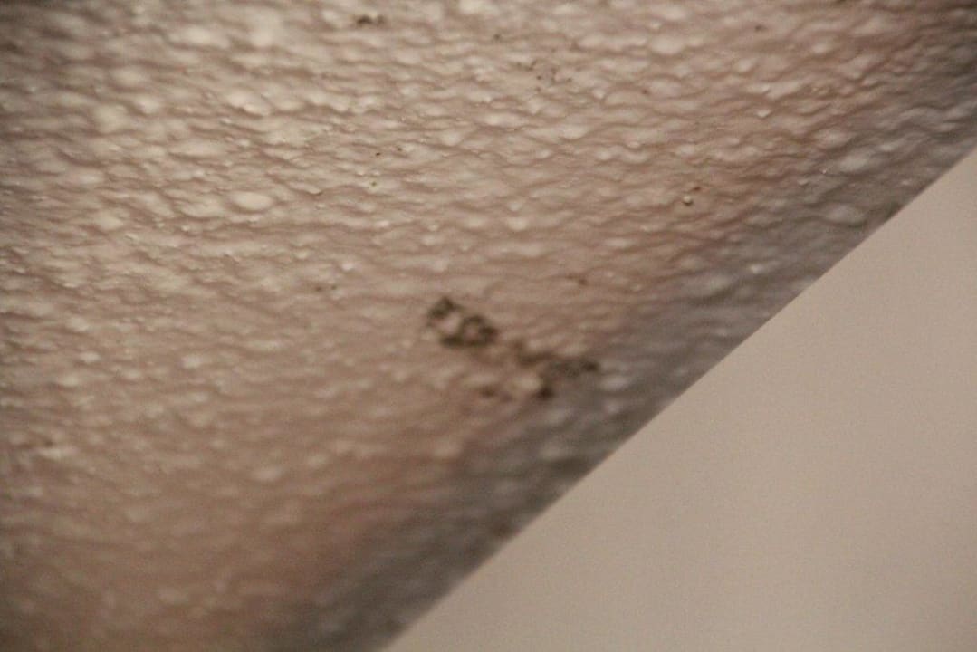 Schimmel von der auslaufenden Klimaanlage Calimera One Resort Jockey