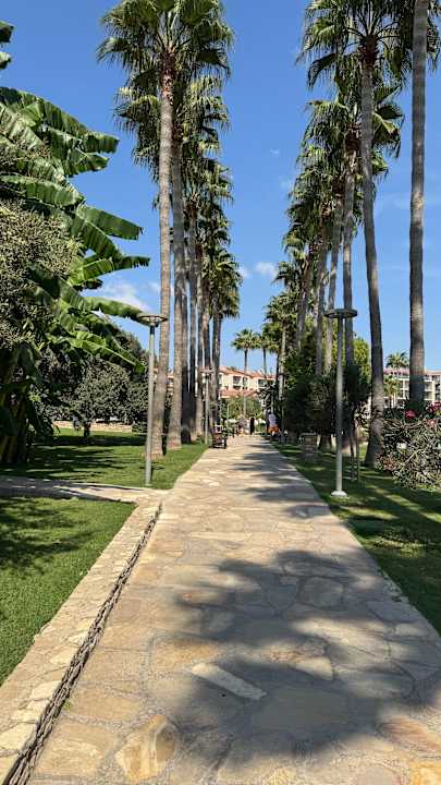 Gartenanlage Arum Barut Collection
