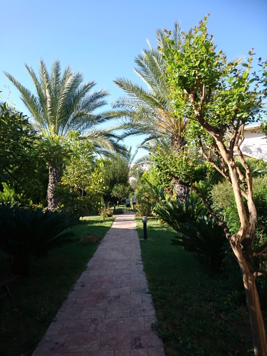 Gartenanlage Hotel Aida