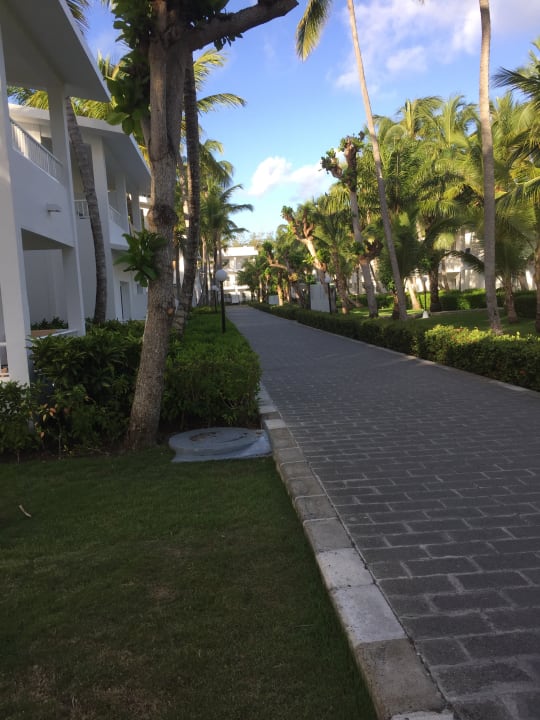 Gartenanlage Hotel Riu Bambu