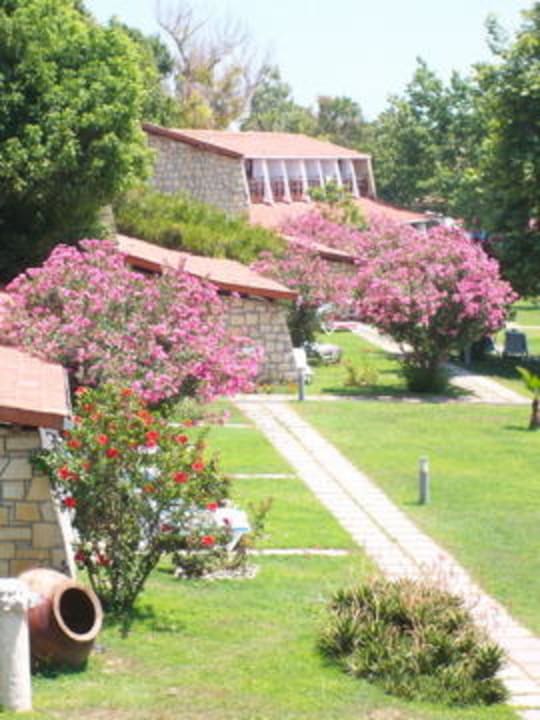 Bungalows  Horus Paradise Luxury Resort & Club