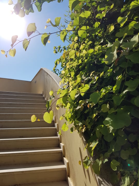 Sonstiges Ithea Suites Hotel