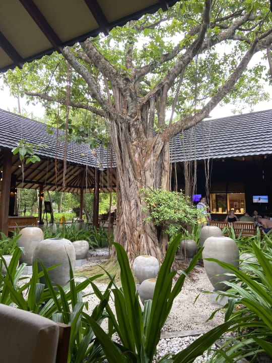 Ausblick Adaaran Select Meedhupparu Island Resort - Premium All Inclusive