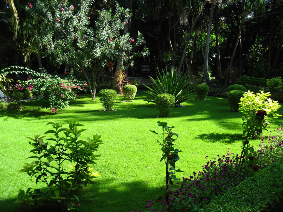 Gepflegter tropischer Garten Adaaran Select Meedhupparu Island Resort - Premium All Inclusive