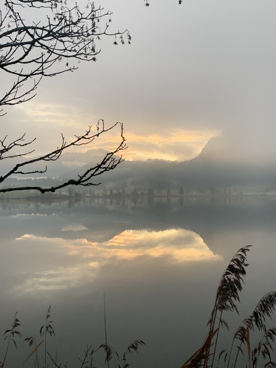 Gartenanlage Hotel Bellevue am See