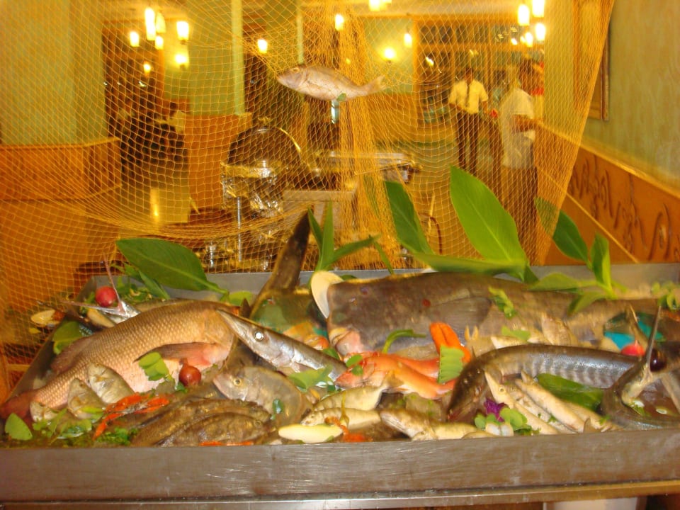 Рыбный день Beach Albatros Resort