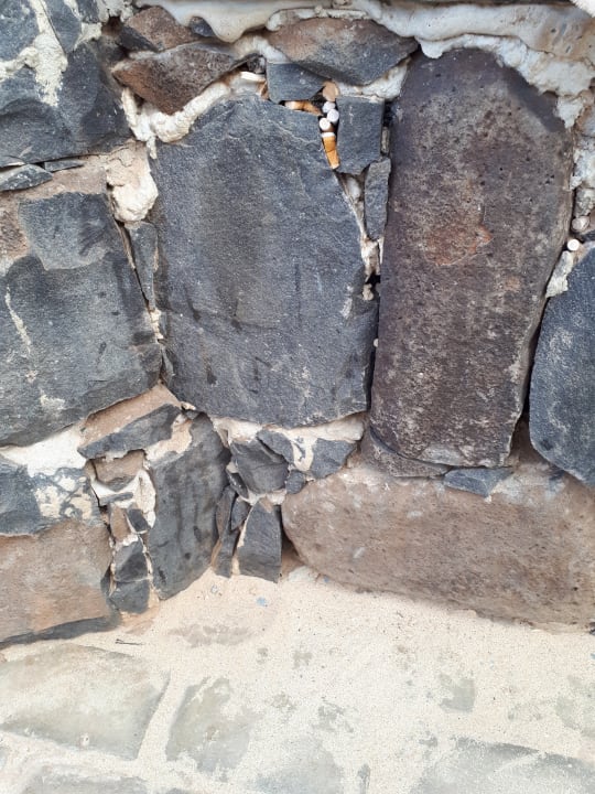 Gartenanlage Hotel Riu Touareg