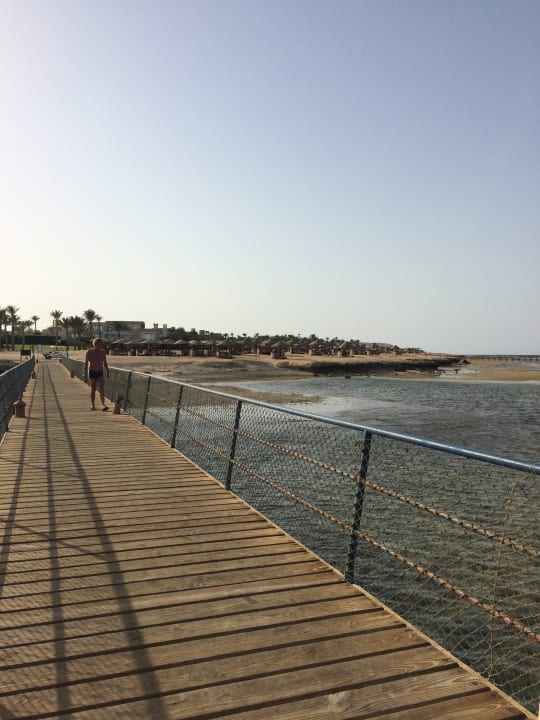 Strand Pickalbatros Palace Hotel-Port Ghalib