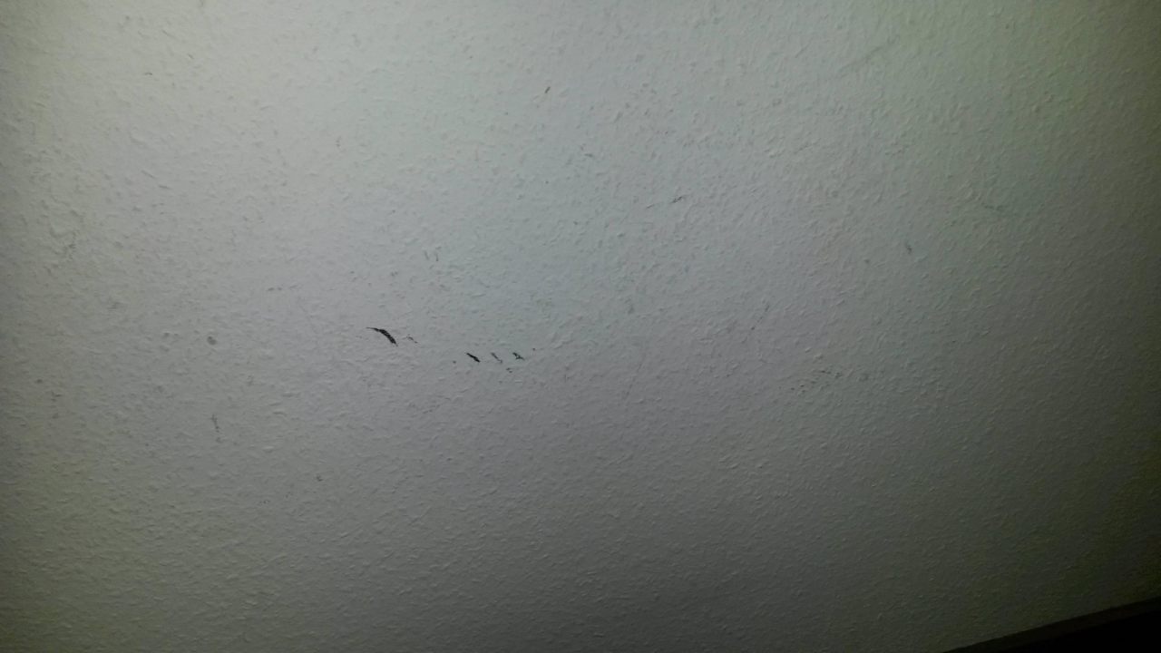 Abgenutzte Tapete im gesamten Zimmer Days Inn Leipzig City Centre