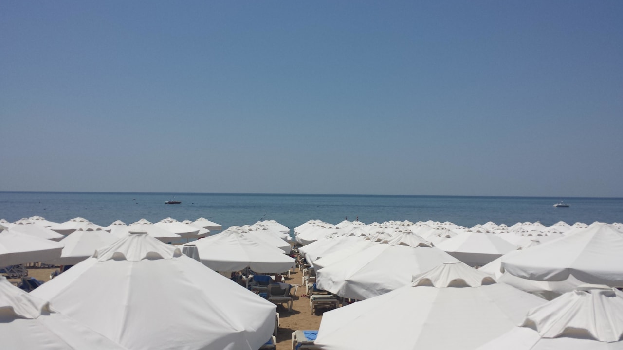 Wie in einer Sardinendose Seaden Corolla Hotel