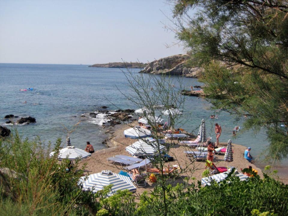 Blick auf den Strand Hotel Kalithea Horizon Royal