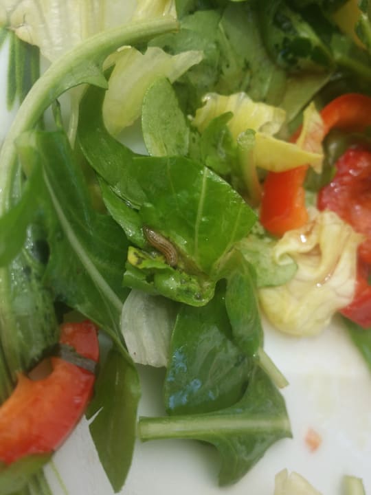 Restaurant Spice Hotel & Spa