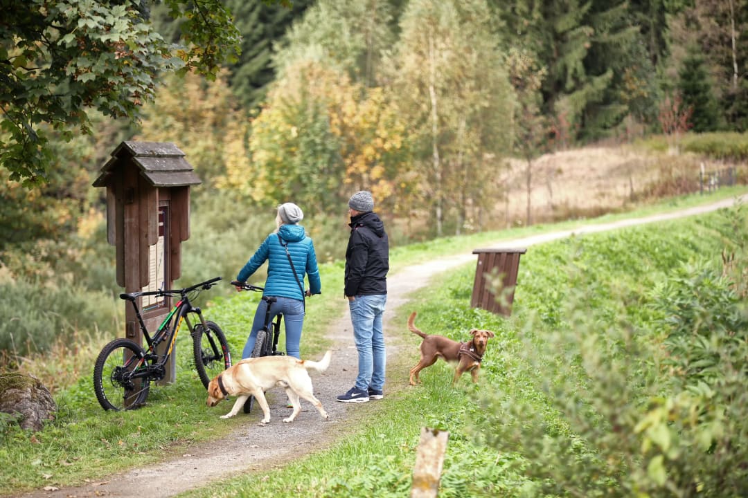 Sonstiges Hotel Mein Bergblick