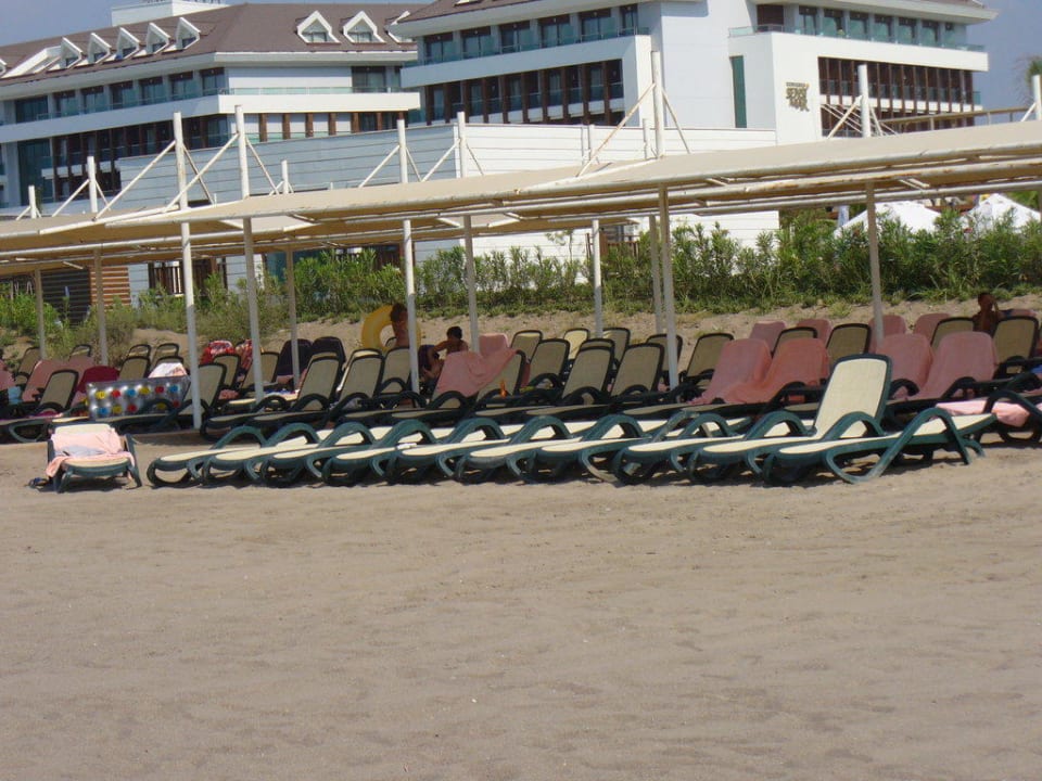 Hoteleigene kostenlose Liegen (kleiner Teil davon) Sherwood Dreams Resort
