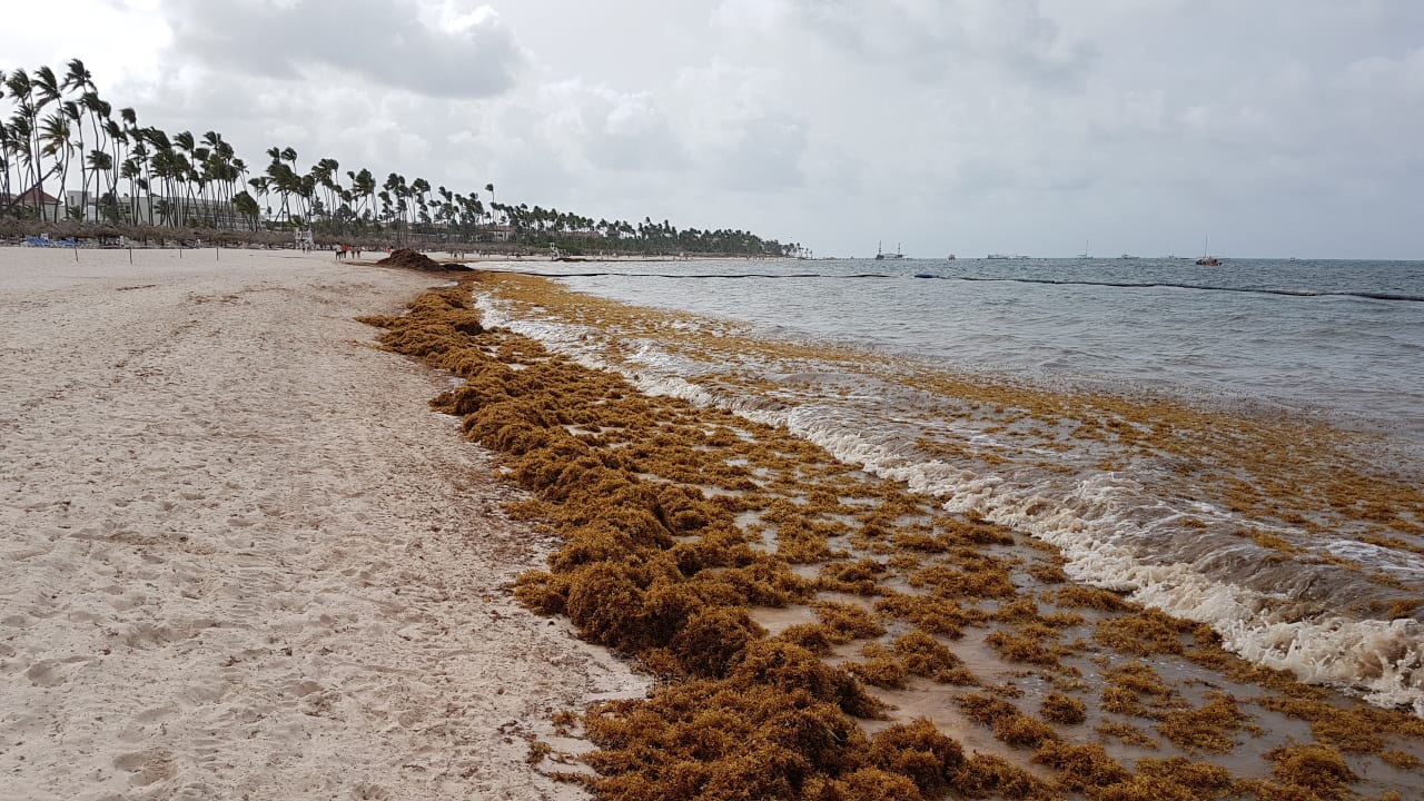 Strand Meliá Caribe Beach Resort-All Inclusive