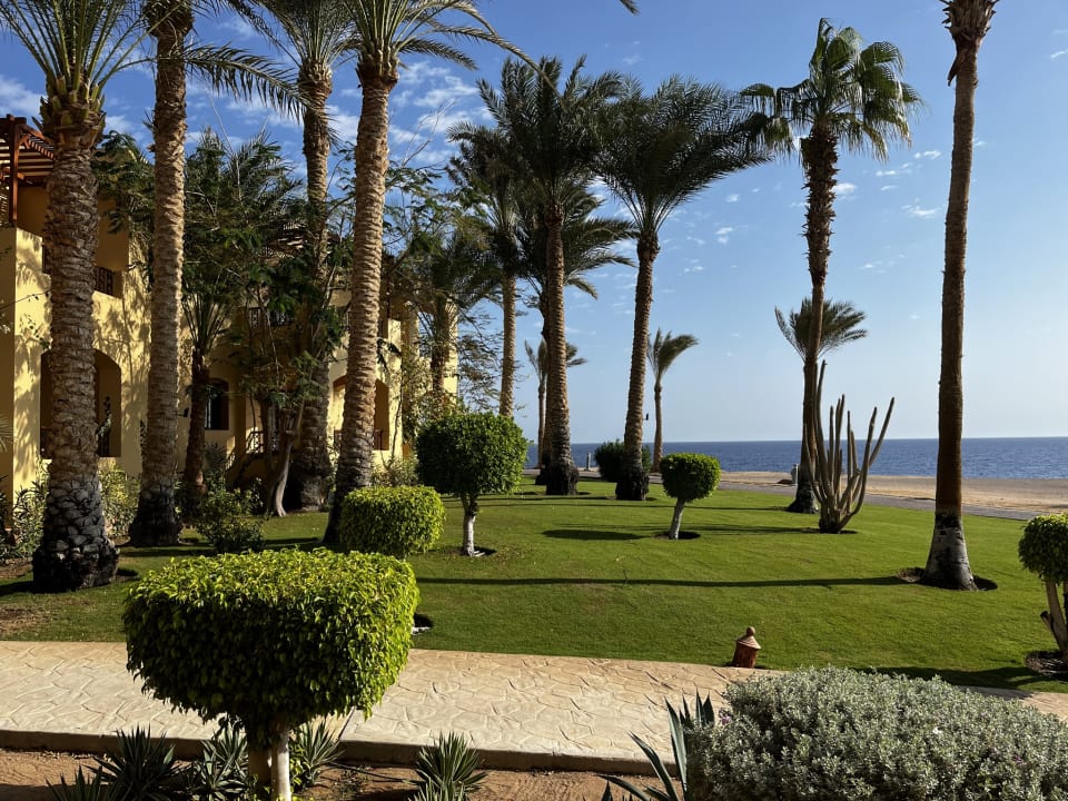 Gartenanlage Steigenberger Coraya Beach - Adults only