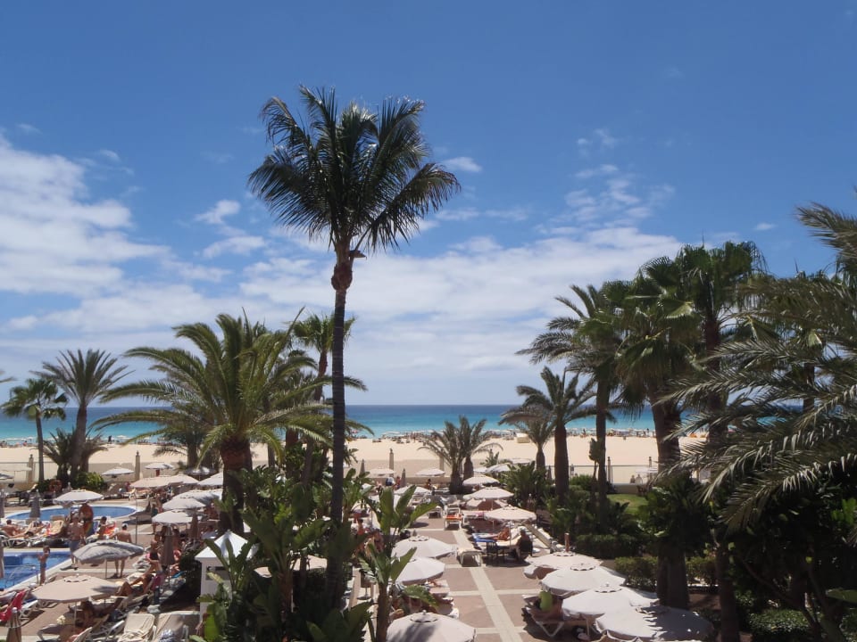 Poolanlage und Gartenanlage Hotel Riu Oliva Beach - Hotel
