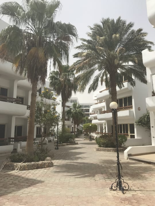 Gartenanlage Marlin Inn Azur Resort