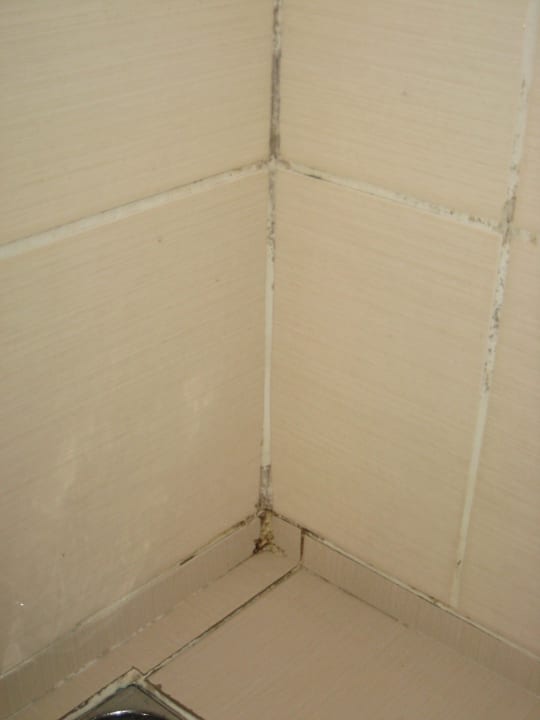 Schimmel in der Dusche Club Resort Atlantis
