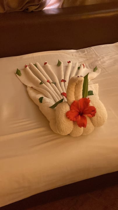 Zimmer Arabia Azur Resort