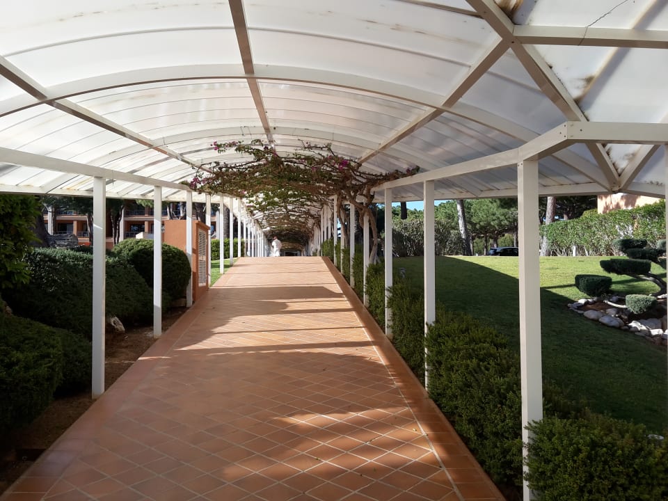 Sonstiges Hipotels Hipocampo Palace & Spa