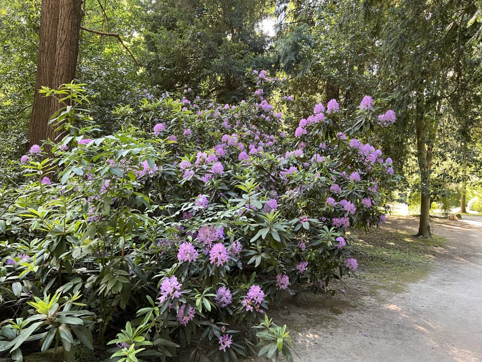 Gartenanlage Schlosshotel Kronberg