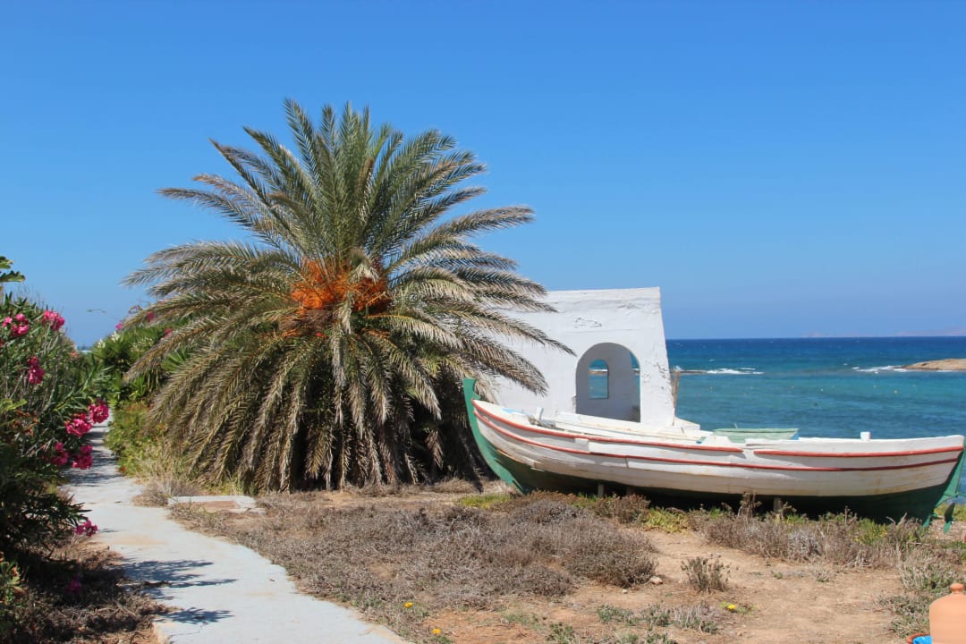 Aussenanlage Knossos Beach Bungalows Suites Resort & Spa