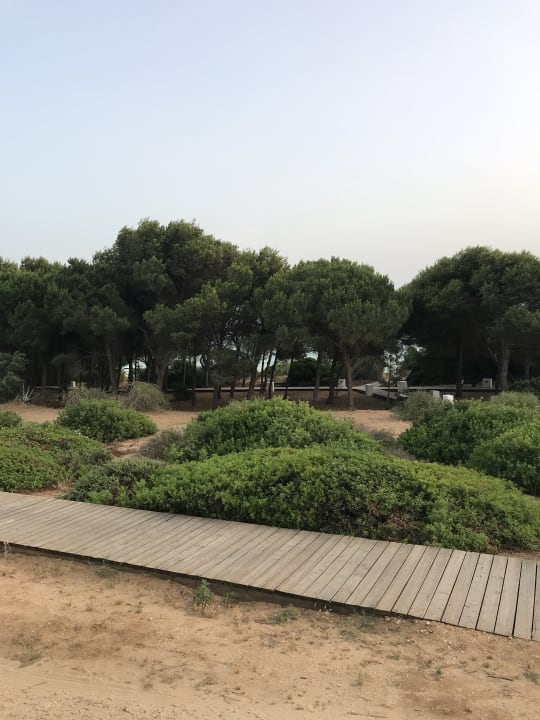 Gartenanlage Hipotels Gran Conil Hotel