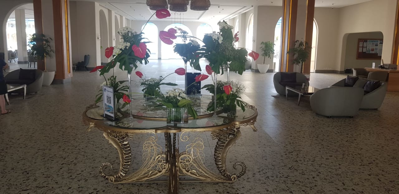 Lobby Pickalbatros Villaggio Resort - Portofino