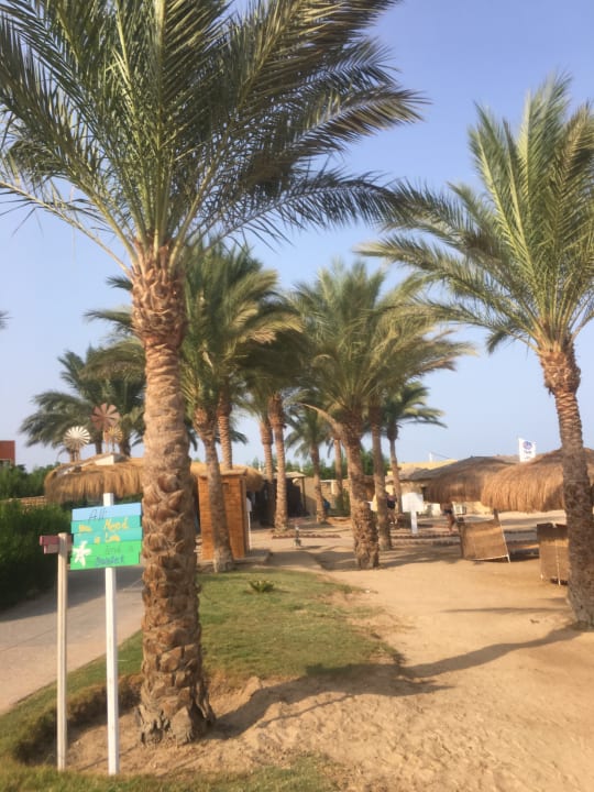 Strand Sentido Caribbean World Soma Bay