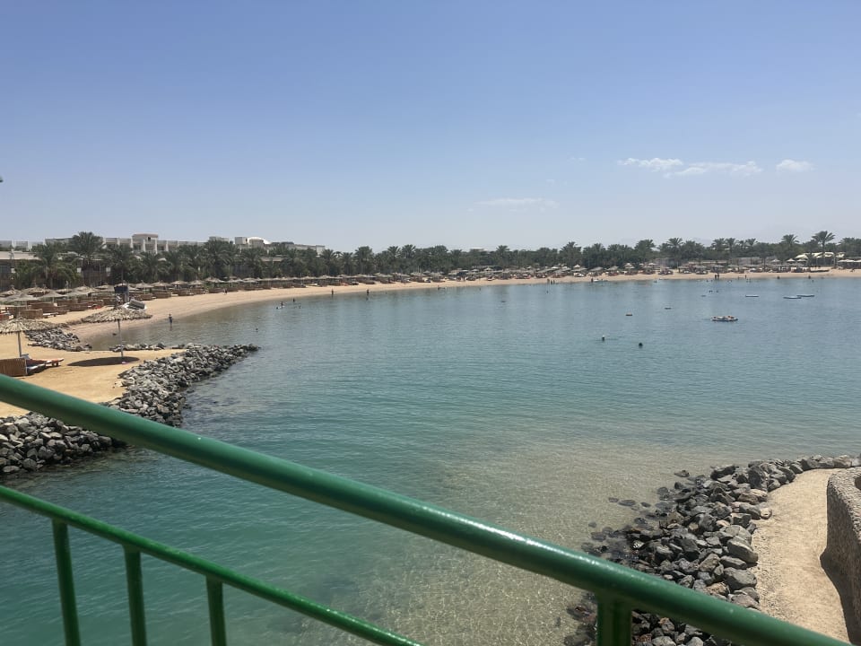 Ausblick Desert Rose