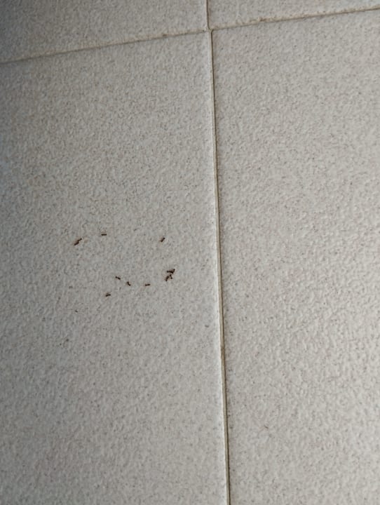 Zimmer Welikehotel Marfil Playa