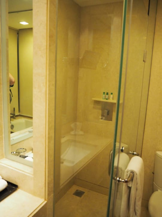 Zweite Übernachtung: Bad, Dusche Hotel The Piccadily New Delhi