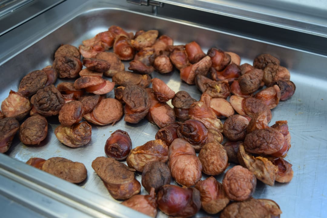 Gastro Hotel Andon Lapa i Pare