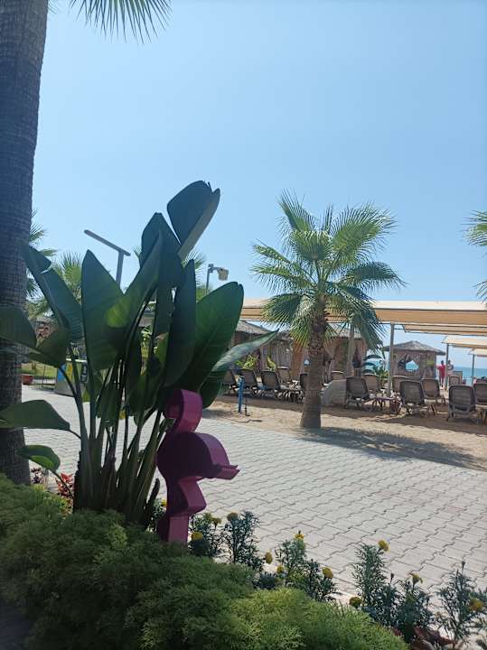 Strand TUI MAGIC LIFE Masmavi