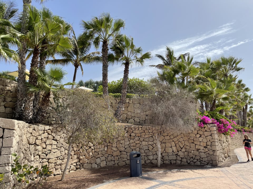 Sonstiges Hotel Riu Palace Tenerife