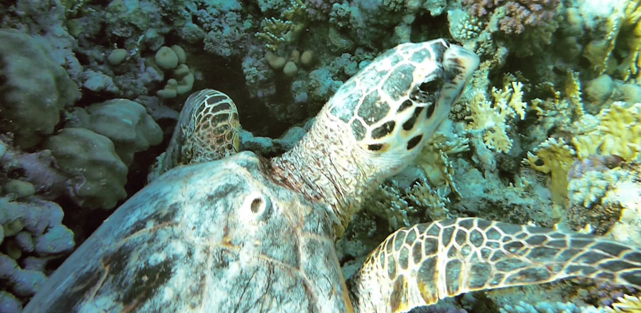 Strand Casa Mare Resort