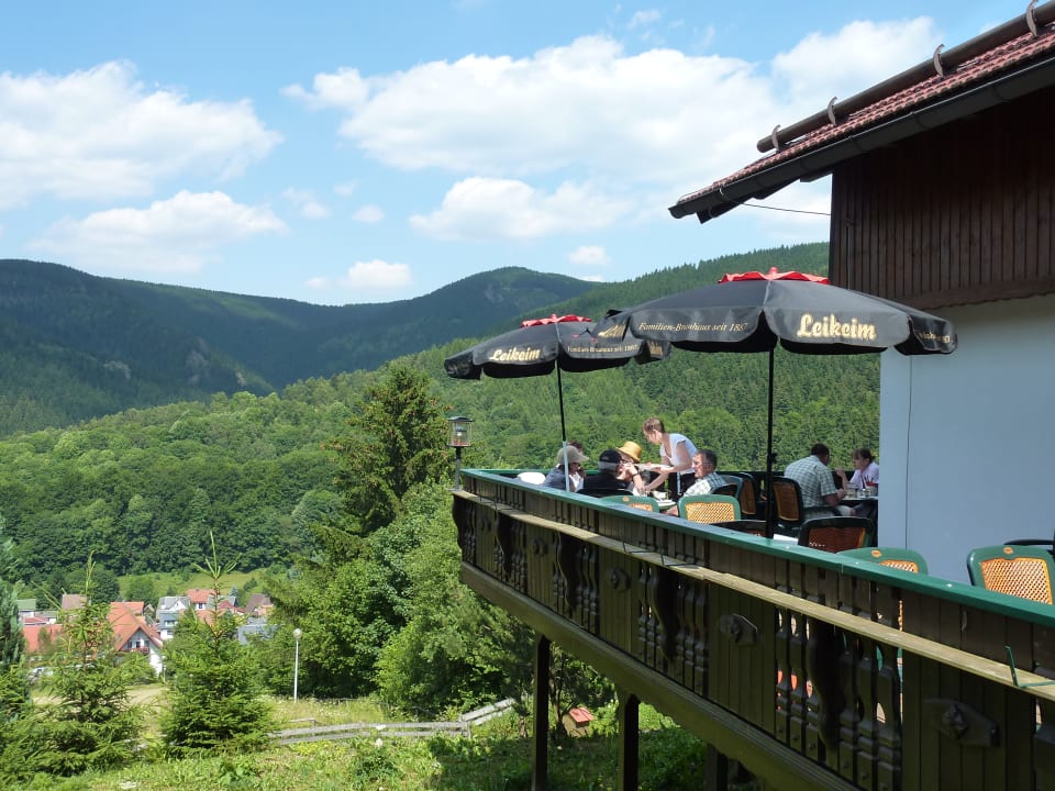 Ausblick Waldgasthof Ski- & Wanderhütte