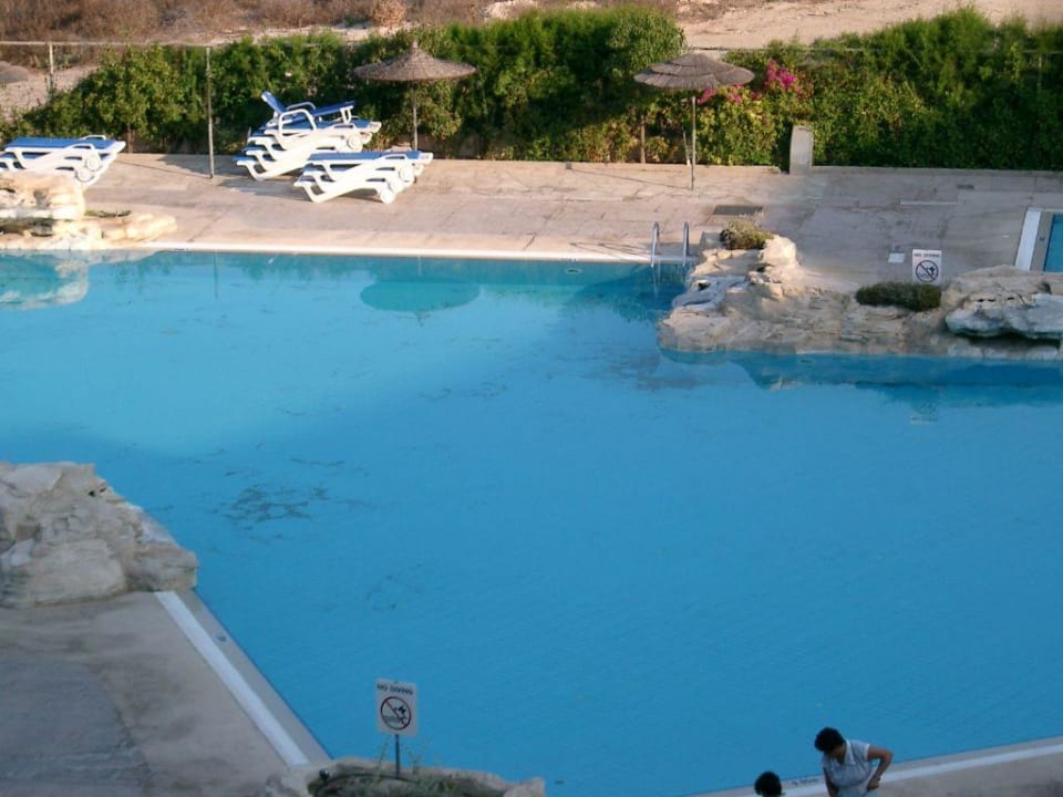 Pool Venus Beach Venus Beach