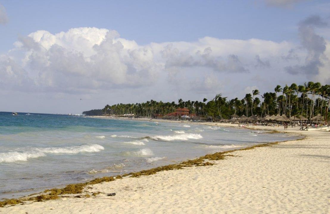 Algen am Strand Punta Cana Princess All Suites Resort & Spa