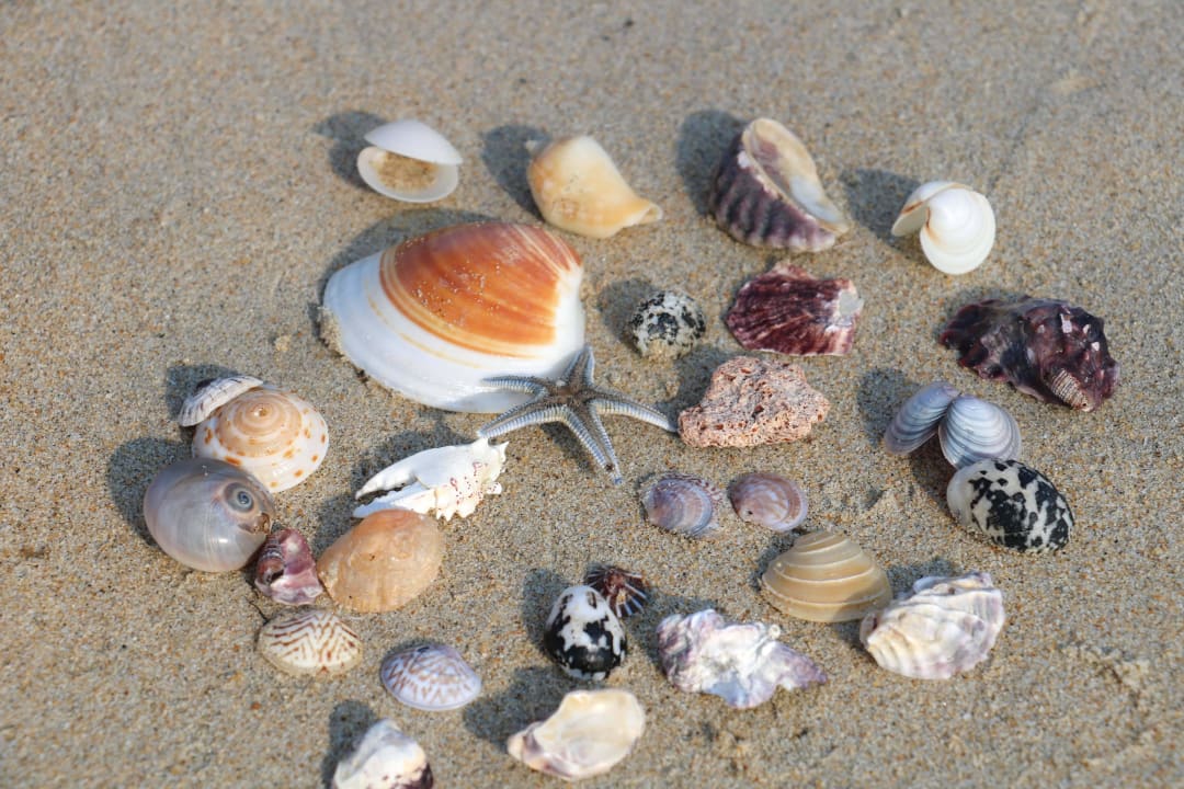 Strand Hotel Tanjung Inn Villa de Fedelia