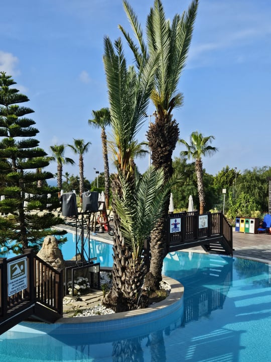 Pool Alba Resort Hotel