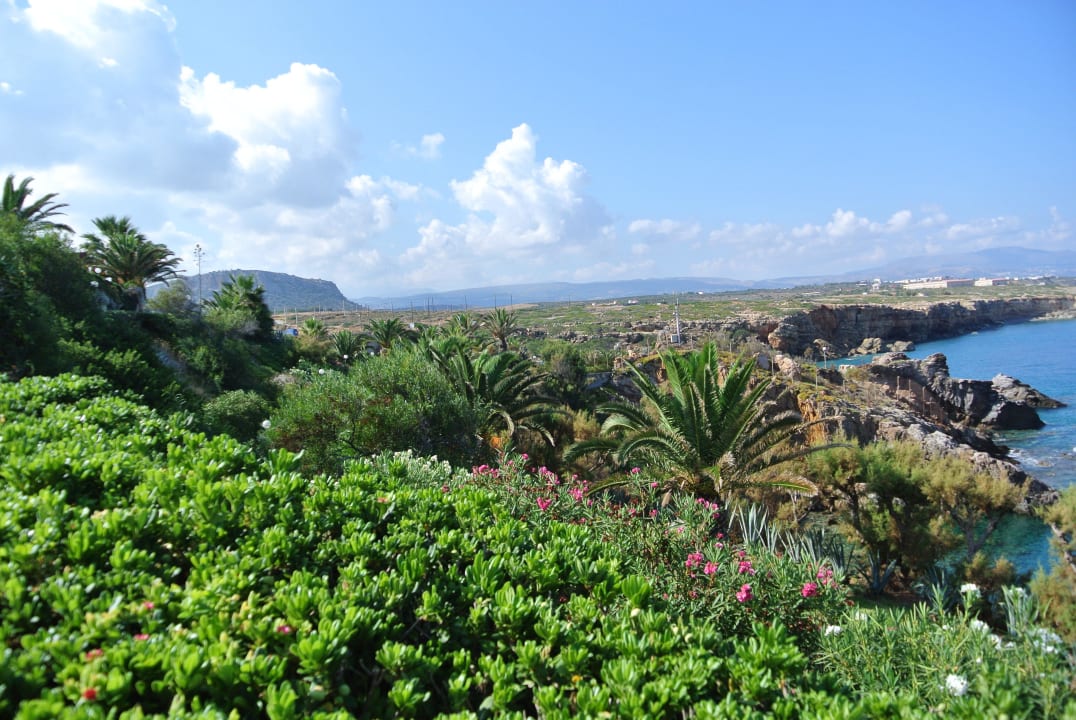 Blick von der Anlage zum Meer Iberostar Waves Creta Panorama & Mare