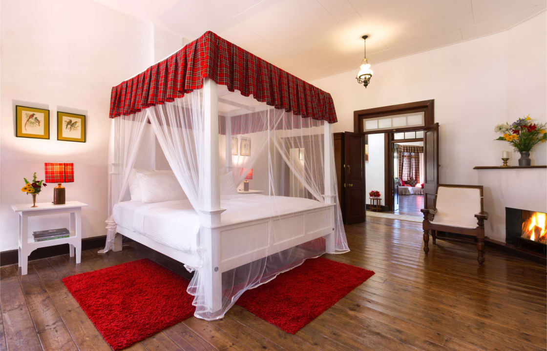 Zimmer Scottish Planter Bungalow- Thema Collection