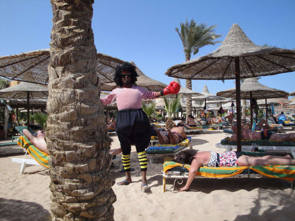 Animation Giftun Azur Resort