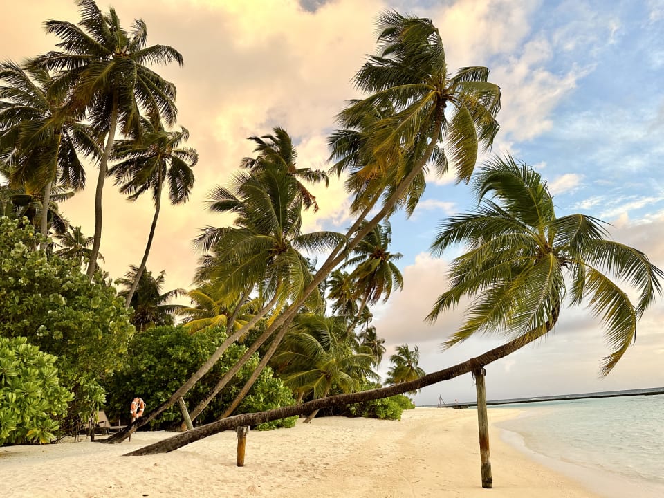 Strand Sun Siyam Vilu Reef