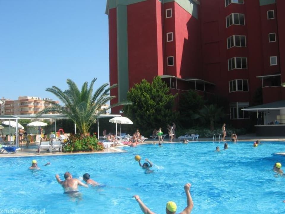 Waterpolo Aydinbey Gold Dreams